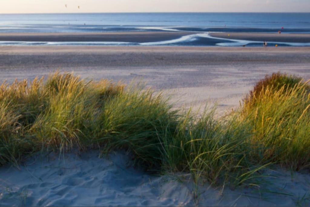 Un Ecrin Au Coeur Du Centre Ville Duinkerke Buitenkant foto